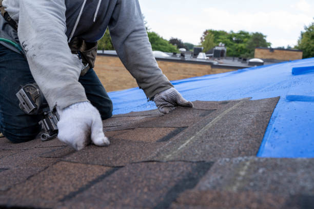 Best Roof Insulation Installation  in Carrollton, VA