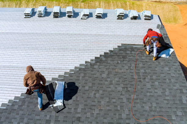 Best Solar Panel Roofing Installation  in Carrollton, VA